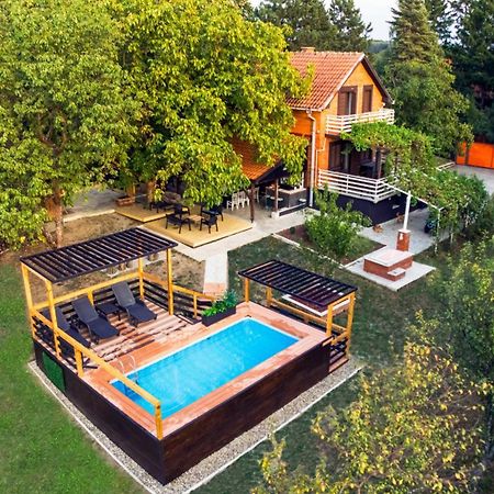 Villa Dijana - Pool, Spa, Outdoor Kitchen Belgrado Esterno foto